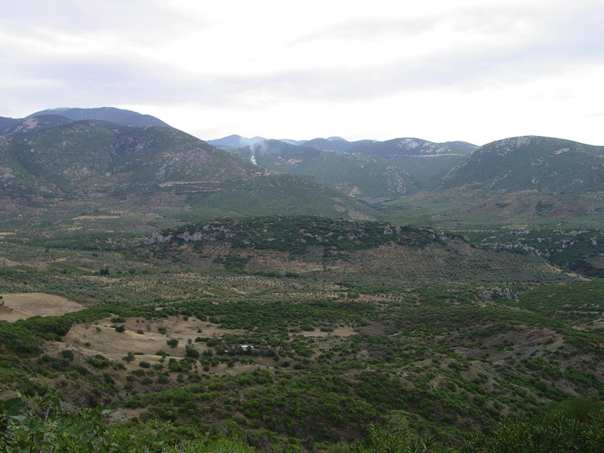 DSC09991