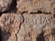 DSC00029